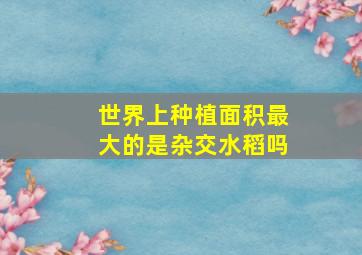 世界上种植面积最大的是杂交水稻吗