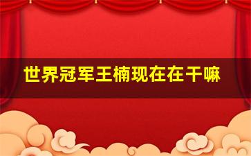 世界冠军王楠现在在干嘛