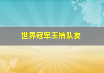 世界冠军王楠队友