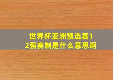 世界杯亚洲预选赛12强赛制是什么意思啊