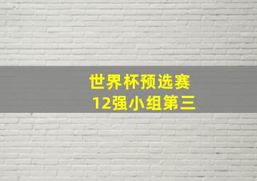 世界杯预选赛12强小组第三