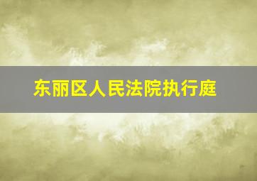 东丽区人民法院执行庭