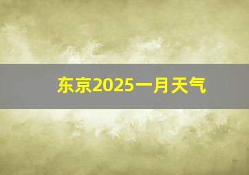 东京2025一月天气