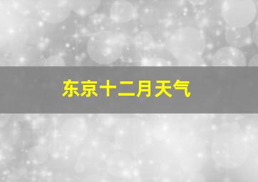 东京十二月天气