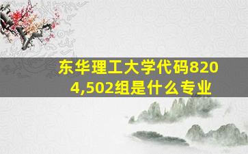 东华理工大学代码8204,502组是什么专业