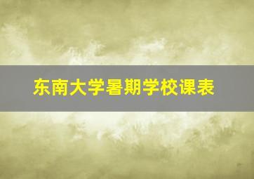 东南大学暑期学校课表