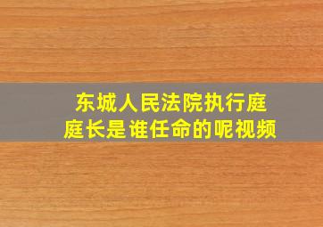 东城人民法院执行庭庭长是谁任命的呢视频