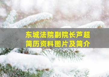 东城法院副院长芦超简历资料图片及简介