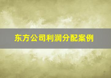 东方公司利润分配案例