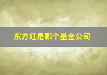 东方红是哪个基金公司