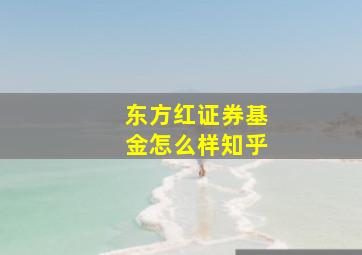 东方红证券基金怎么样知乎