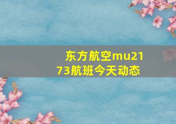 东方航空mu2173航班今天动态