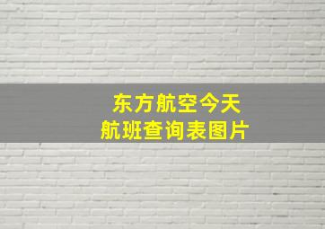 东方航空今天航班查询表图片