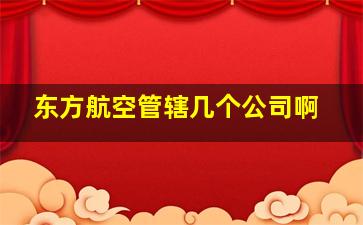 东方航空管辖几个公司啊