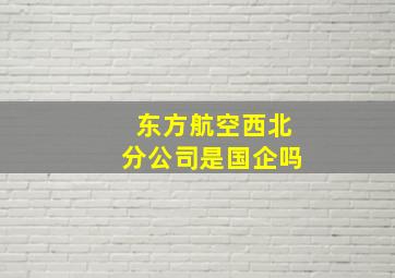 东方航空西北分公司是国企吗