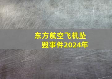 东方航空飞机坠毁事件2024年