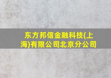 东方邦信金融科技(上海)有限公司北京分公司