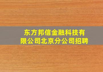 东方邦信金融科技有限公司北京分公司招聘