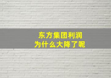 东方集团利润为什么大降了呢