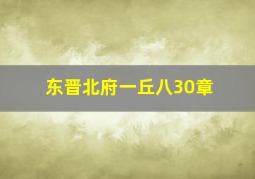 东晋北府一丘八30章