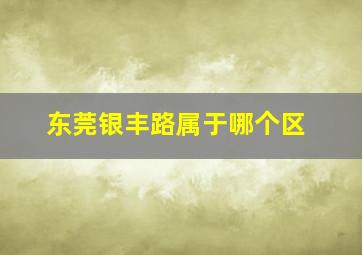 东莞银丰路属于哪个区