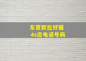 东营欧拉好猫4s店电话号码