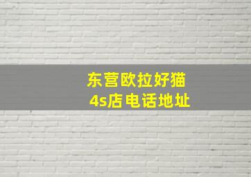 东营欧拉好猫4s店电话地址