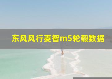 东风风行菱智m5轮毂数据