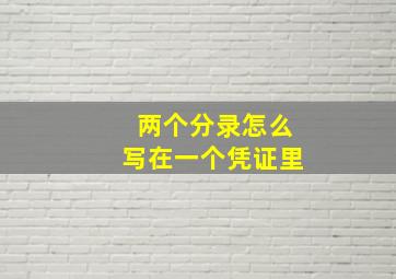 两个分录怎么写在一个凭证里