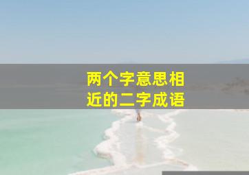 两个字意思相近的二字成语