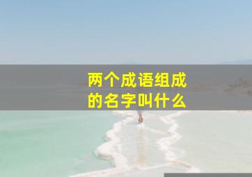 两个成语组成的名字叫什么