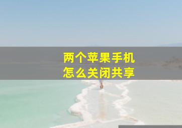 两个苹果手机怎么关闭共享