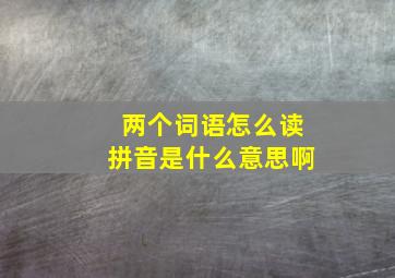 两个词语怎么读拼音是什么意思啊