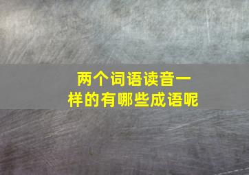 两个词语读音一样的有哪些成语呢