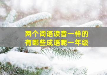 两个词语读音一样的有哪些成语呢一年级