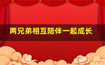 两兄弟相互陪伴一起成长