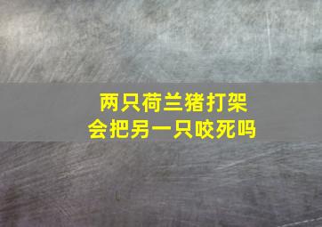 两只荷兰猪打架会把另一只咬死吗