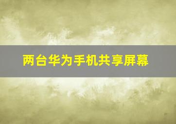 两台华为手机共享屏幕