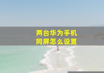 两台华为手机同屏怎么设置