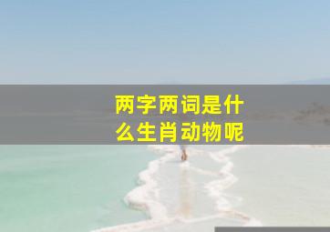 两字两词是什么生肖动物呢