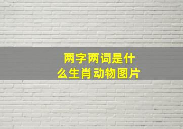 两字两词是什么生肖动物图片