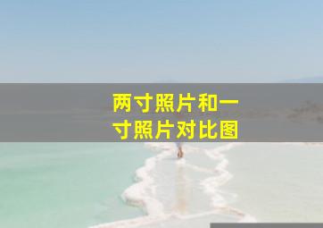 两寸照片和一寸照片对比图