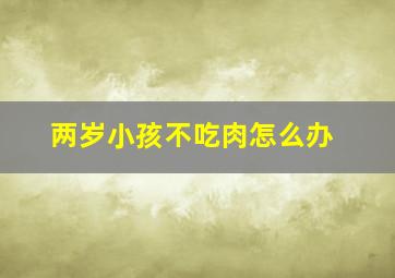 两岁小孩不吃肉怎么办