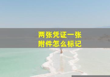 两张凭证一张附件怎么标记