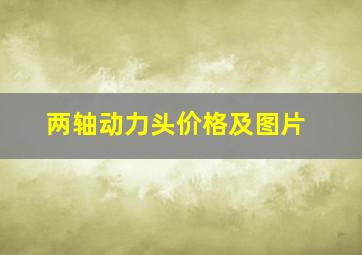 两轴动力头价格及图片