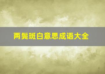 两鬓斑白意思成语大全