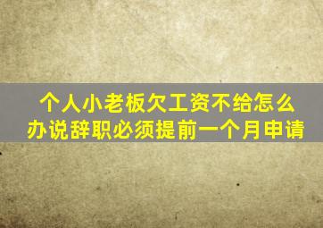 个人小老板欠工资不给怎么办说辞职必须提前一个月申请