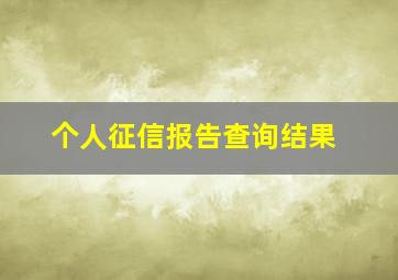 个人征信报告查询结果