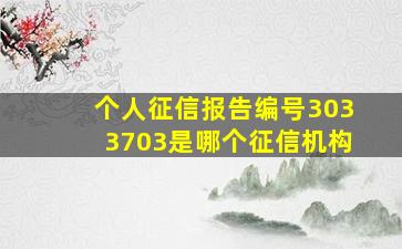 个人征信报告编号3033703是哪个征信机构