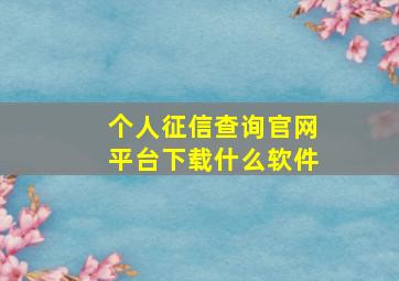 个人征信查询官网平台下载什么软件